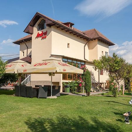 Pensiunea Andrei Rm Valcea Ramnicu Valcea Bagian luar foto