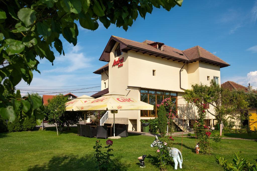 Pensiunea Andrei Rm Valcea Ramnicu Valcea Bagian luar foto